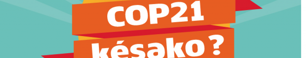 cop21késako